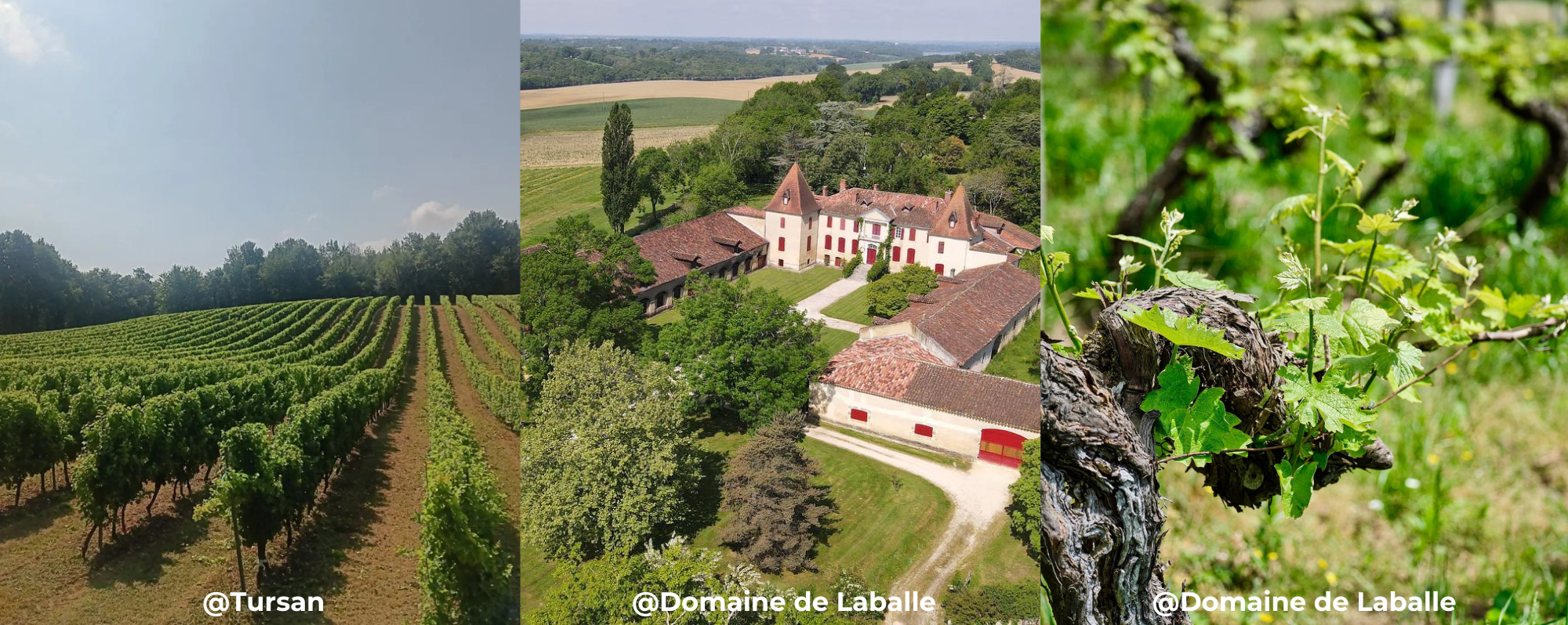 pele mele des photos de tursan et du domaine de laballe